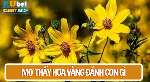 Giải Mã Giấc Mơ Thấy Hoa Màu Vàng Và Những Con Số Tài Lộc Đánh đề con gì khi mơ thấy hoa màu vàng